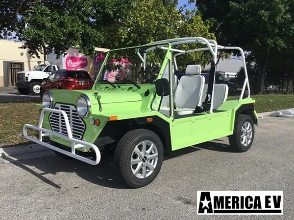 Light Green Mokee 4 Passenger Golf Cart affordable golf cart rental, golf cart rent on top of the world