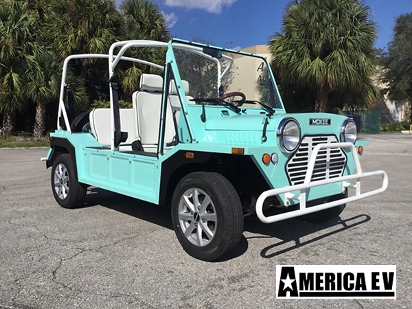 Mint Mokee 4 Passenger Golf Cart affordable golf cart rental, golf cart rent on top of the world